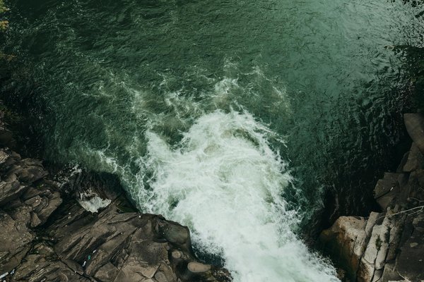 Comment organiser un camping pour observer les éléphants en Afrique de l'Est?