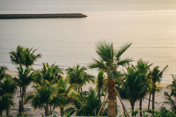 Quels sont les meilleurs spots pour faire de la plongée sous-marine à Bonaire, Caraïbes?